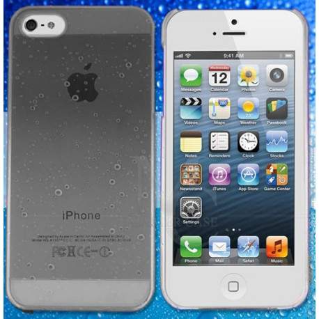 Coque CRYSTAL WATER grise pour iPhone 5
