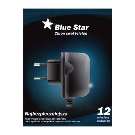 Chargeur 220V BLUE STAR pour Iphone, Ipad et Ipod .
