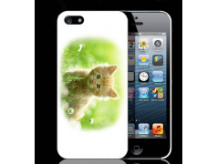 Coque CHATON pour Iphone 6 (4.7))
