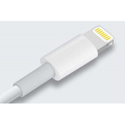 Cable Lightning original et certifie APPLE 