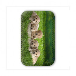 Pochette cuir a personnaliser pour iPhone 3 