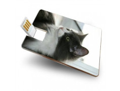 Carte personnalisée USB 8 Go