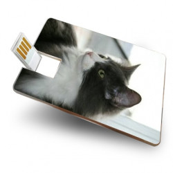 Carte personnalisée USB 8 Go