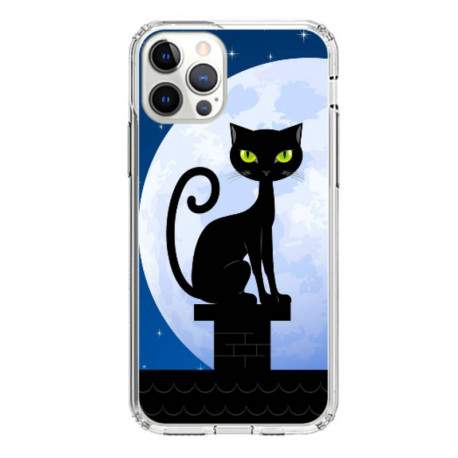 Coque souple Night Cat iPhone 12 Pro