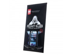 Verre trempé Privacy pour iPhone 12 Pro MAX