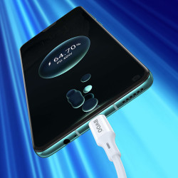 Câble USBC vers USBC charge rapide 60W