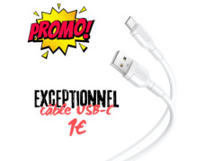 Câble USB Type C universel