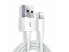Câble, chargeur, écouteur pour iPhone SE 2020