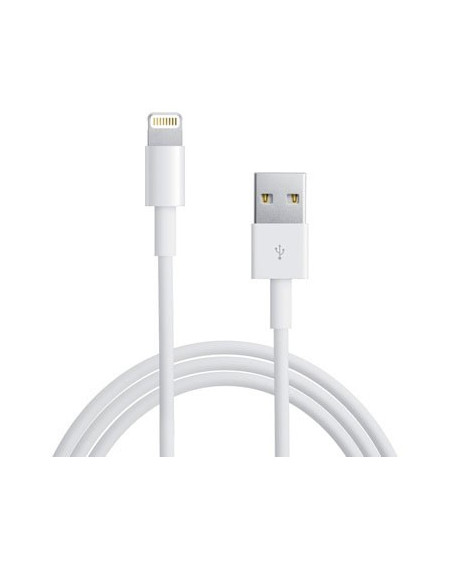 Cables et chargeurs pour iPad Mini