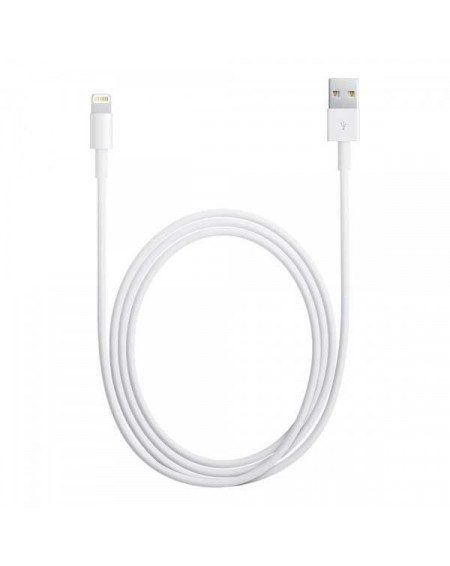 Cables et chargeurs pour iPhone 5C